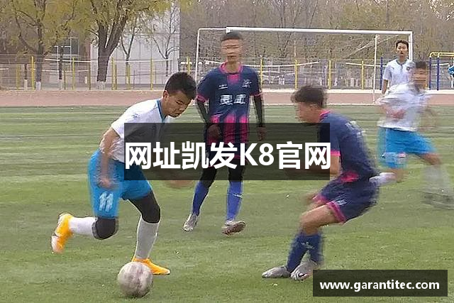 网址凯发K8官网